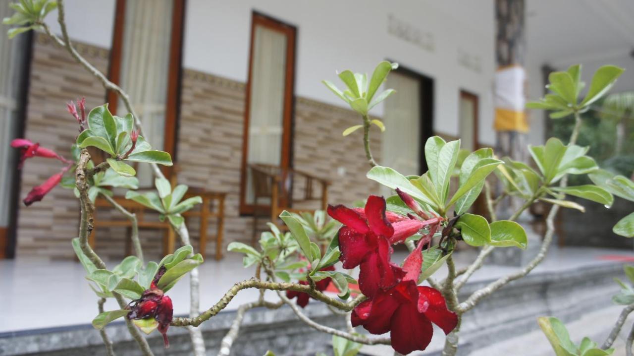 Klotok Home Stay Nusa Batununggul Exterior photo